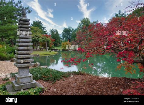 japanese garden springfield mo